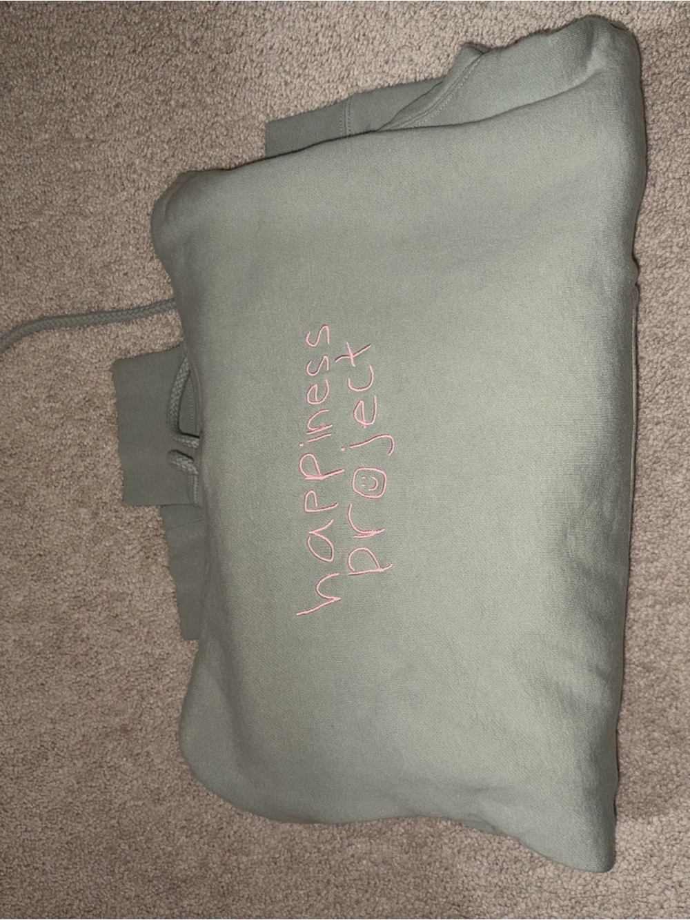 Happiness Project Embroidered Sage Green Hoodie